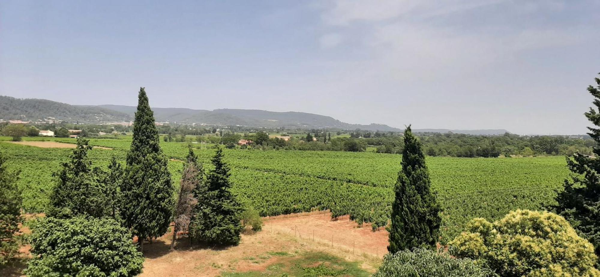 Bed And Breakfast La Grande Lauzade Le Luc Rum bild